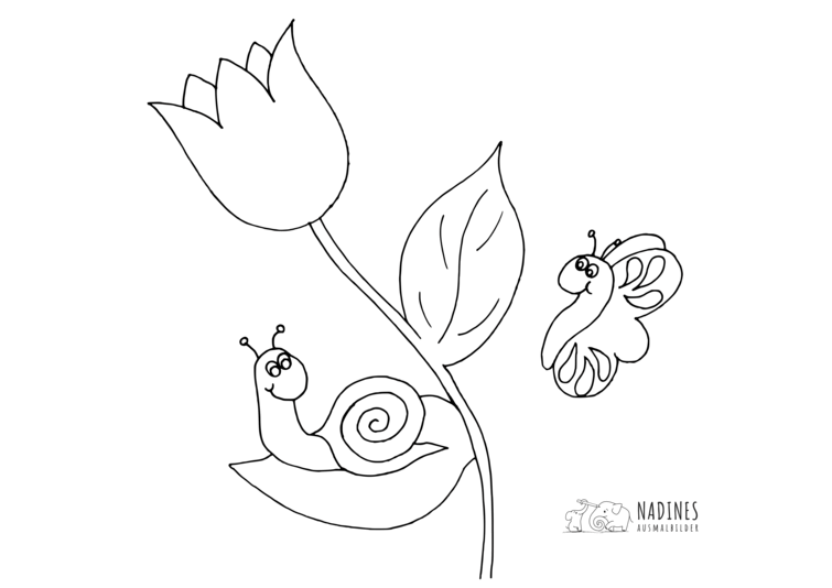 Ausmalbild Schnecke auf Tulpe